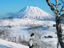 Niseko