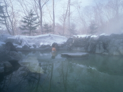 ONSEN (Hot Spring Spa)