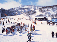 SKI LESSONS